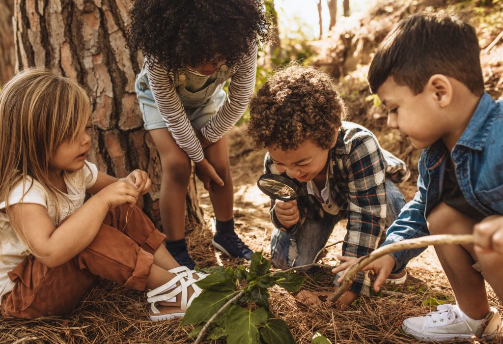Children,In,Forest,Looking,At,Leaves,As,A,Researcher,Together